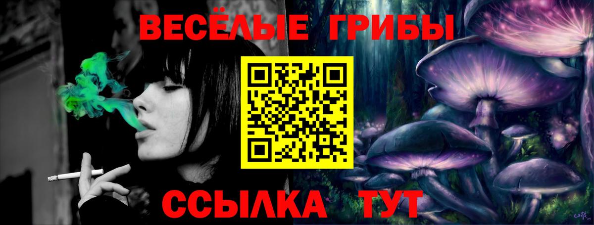 Галлюциногенные грибы GOLDEN TEACHER Ханты-Мансийск